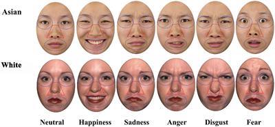 Own Race Eye-Gaze Bias for All Emotional Faces but Accuracy Bias Only for Sad Expressions